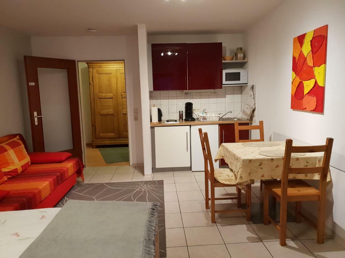 City Appartement 5 Freiburg im Breisgau Eksteriør billede