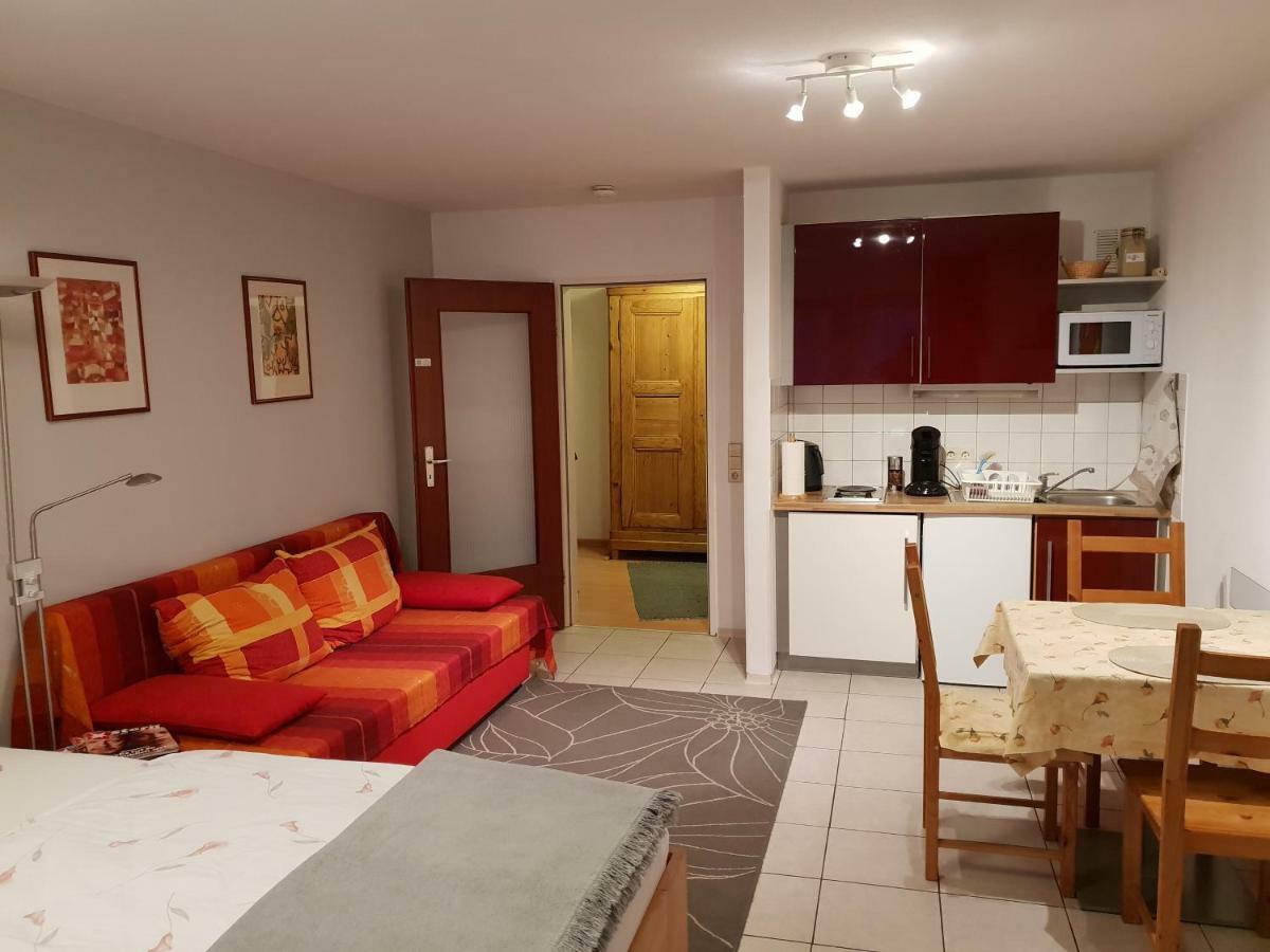 City Appartement 5 Freiburg im Breisgau Eksteriør billede